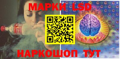 шишки Аргун