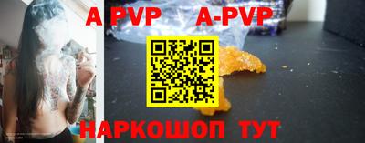 шишки Аргун