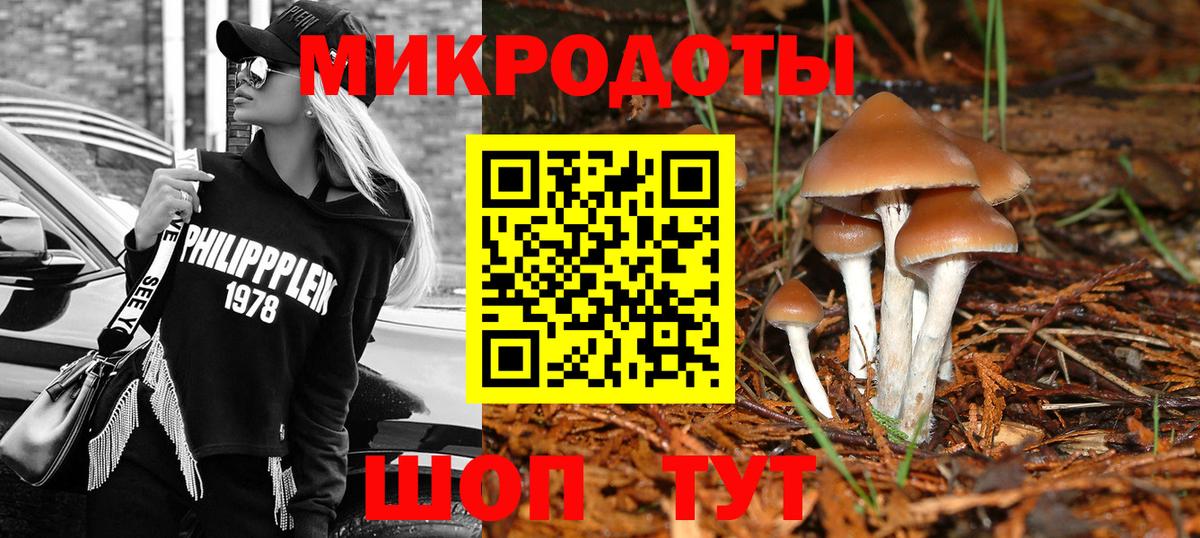 купить наркоту  Вход с VPN  Белогорск  Галлюциногенные грибы Cubensis  Галлюциногенные грибы Psilocybine cubensis 